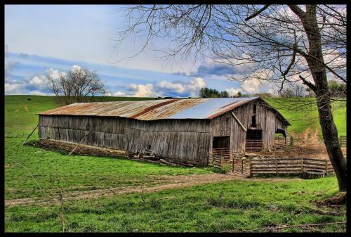 barn Lisa