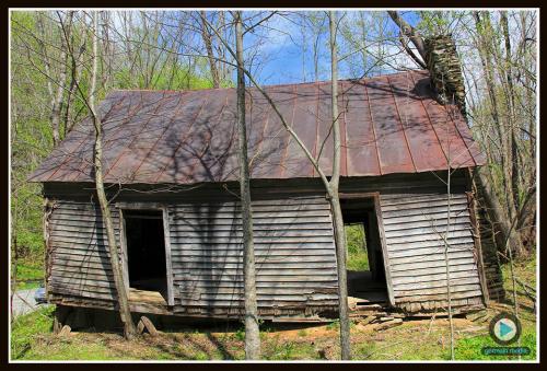 cabin1