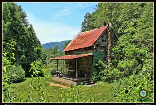 cabin1