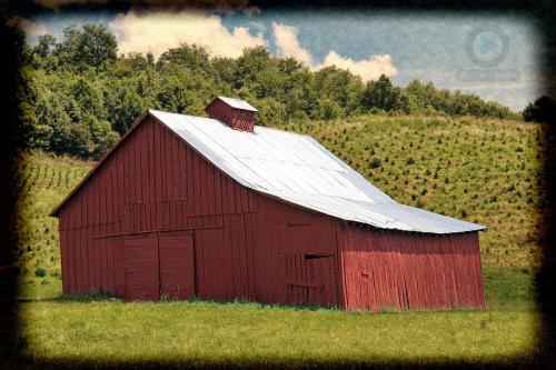 barn1 (2)